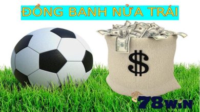 Đồng banh nửa trái